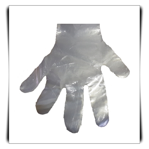 25 Stück PE Einweghandschuhe, transparent